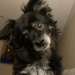 Meet your Posher, Eunji